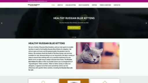 Screenshot of||