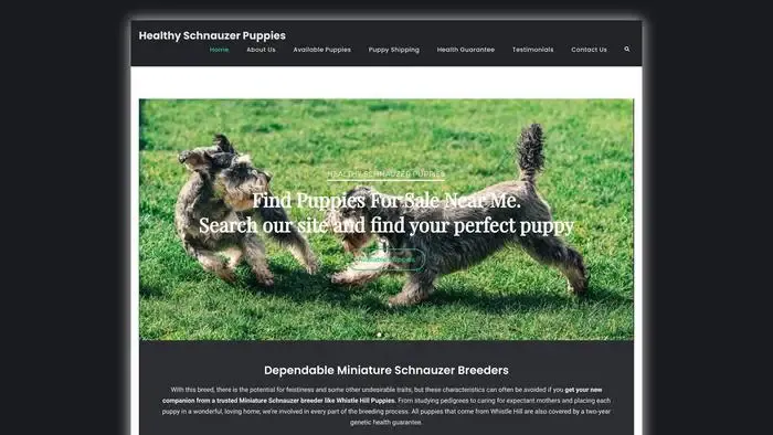 Screenshot of