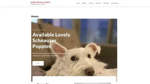 Screenshot of