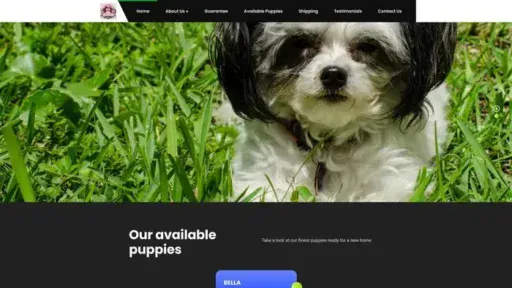 Screenshot of