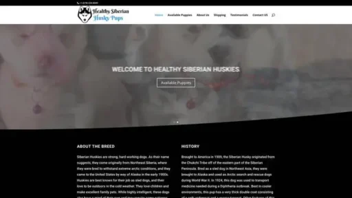 Screenshot of