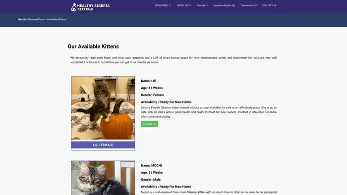 Screenshot of