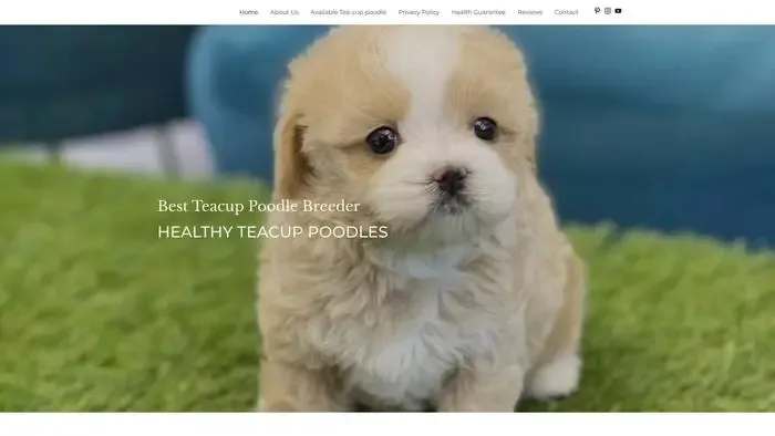 Screenshot of