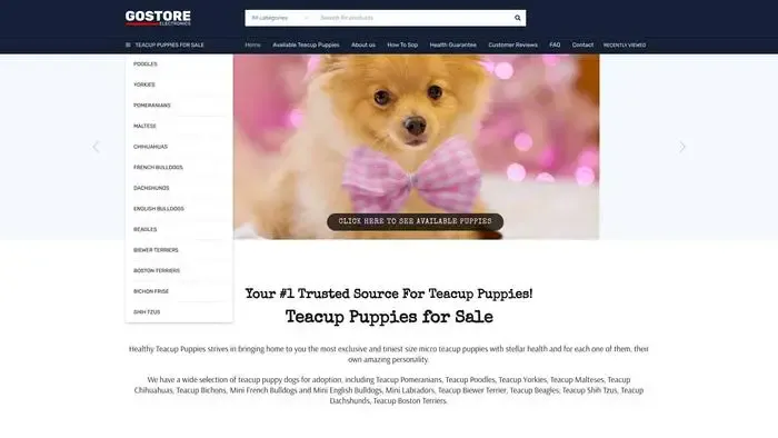 Screenshot of