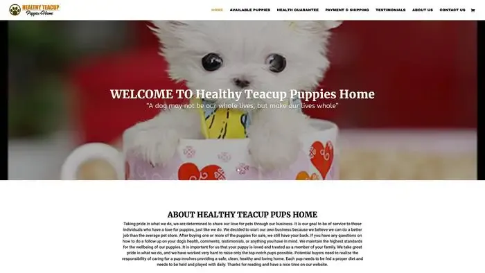 Screenshot of