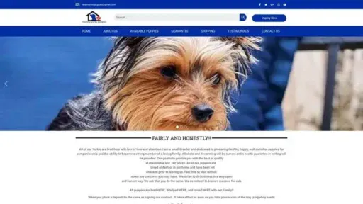 Screenshot of
