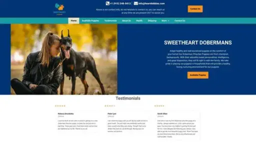 Screenshot of