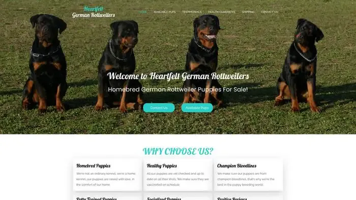Screenshot of