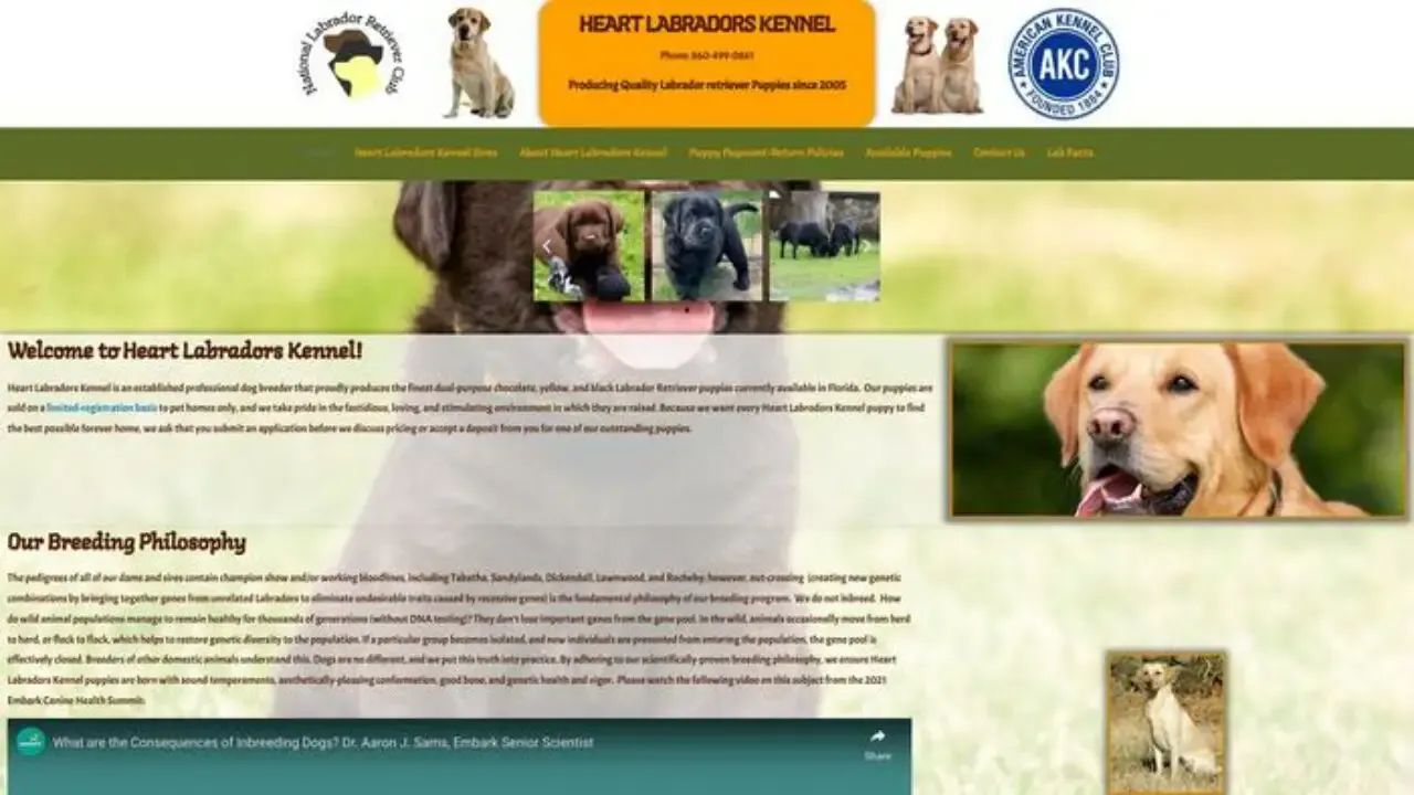 Screenshot of||