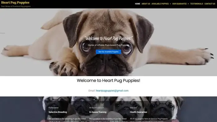 Screenshot of