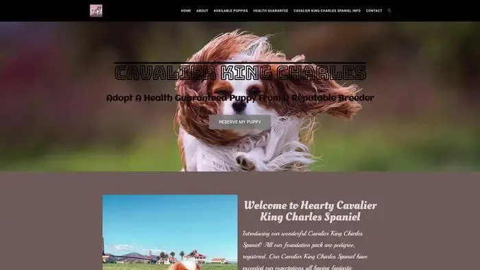 Screenshot of