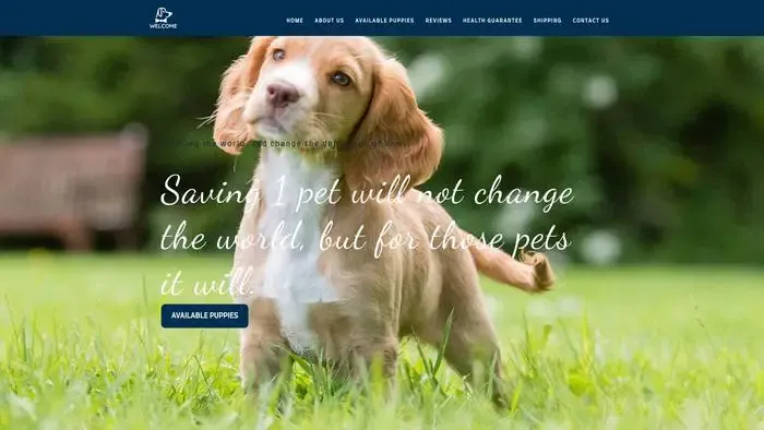 Screenshot of