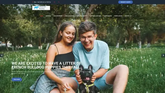 Screenshot of