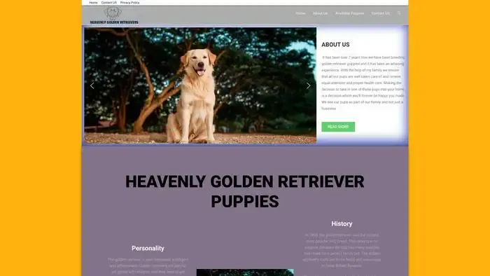 Screenshot of