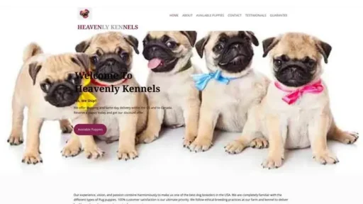 Screenshot of
