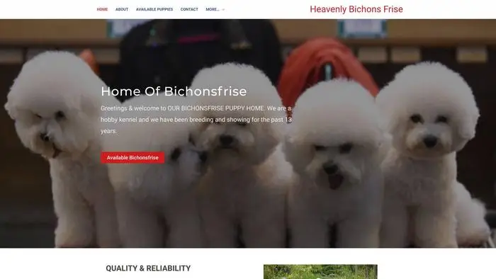 Screenshot of