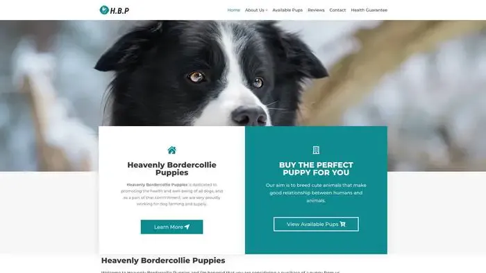 Screenshot of
