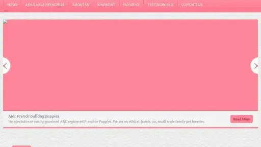 Screenshot of
