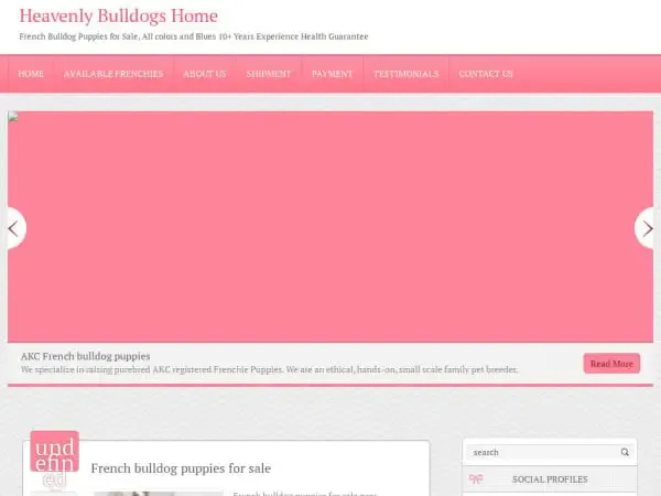 Screenshot of