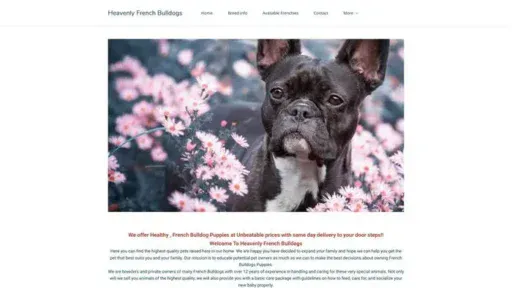 Screenshot of