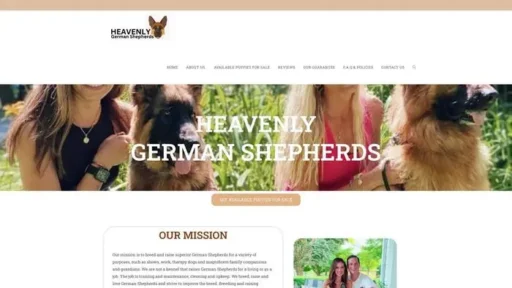 Screenshot of|