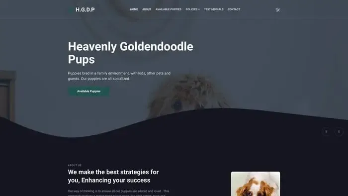 Screenshot of