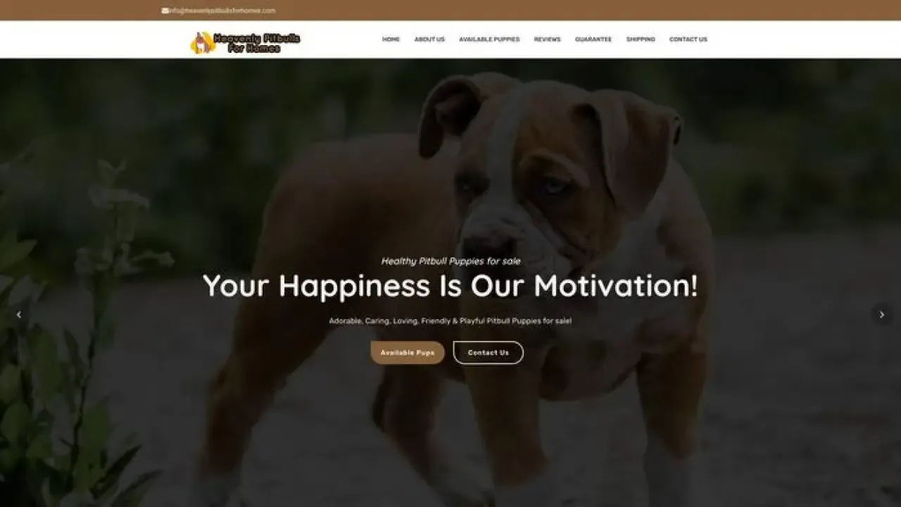 Heavenlypitbullsforhomes