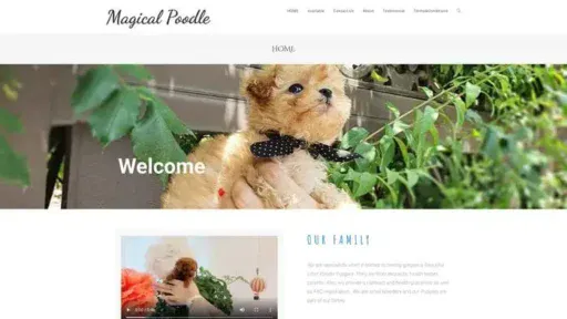 Screenshot of