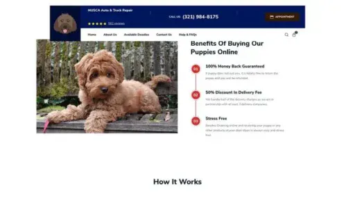 Screenshot of