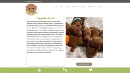 Screenshot of||
