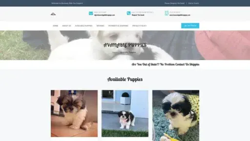 Screenshot of
