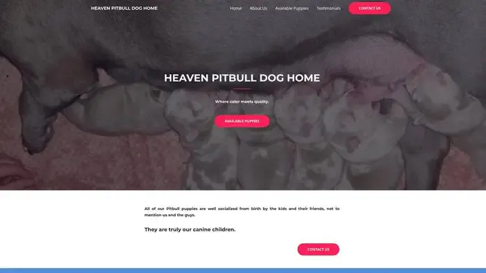 Screenshot of