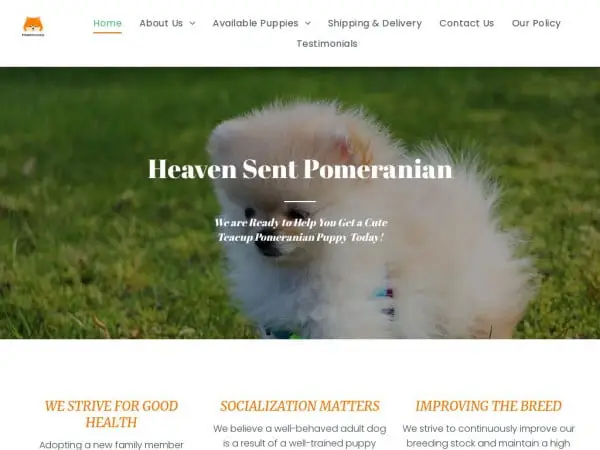 Screenshot of