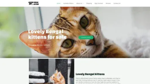 Screenshot of||