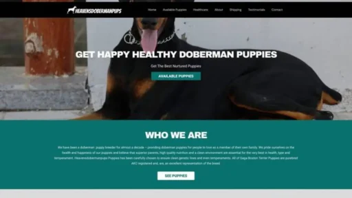 Screenshot of||