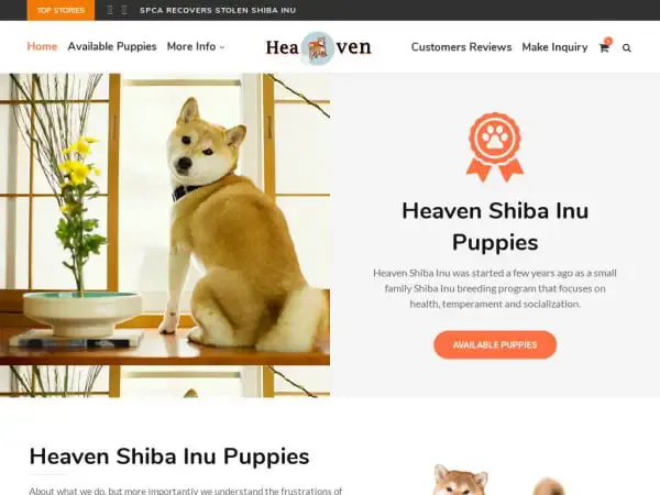 Screenshot of