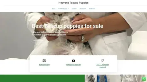 Screenshot of
