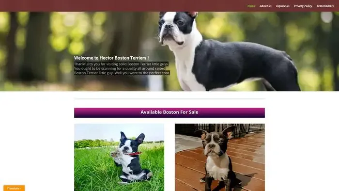 Screenshot of