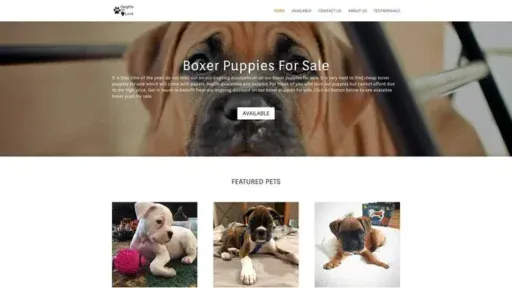 Screenshot of