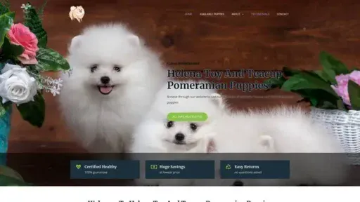 Screenshot of