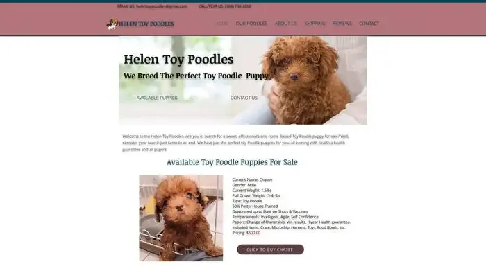Screenshot of