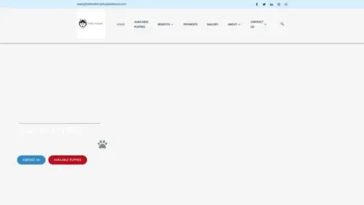 Screenshot of
