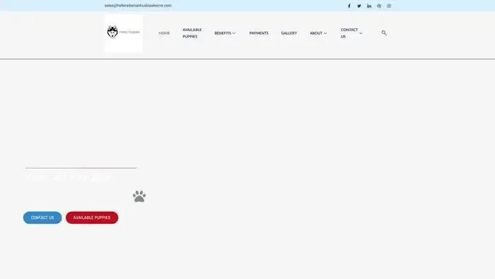 Screenshot of