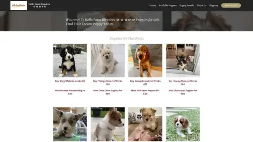 Screenshot of