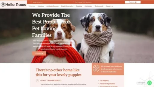 Screenshot of