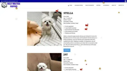 Screenshot of