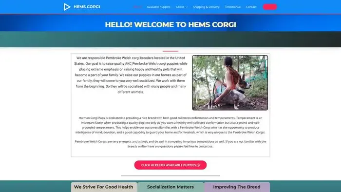 Screenshot of