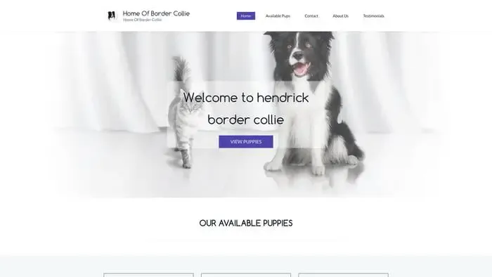 Screenshot of