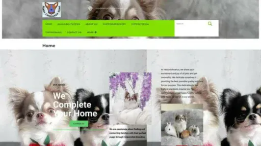 Screenshot of||