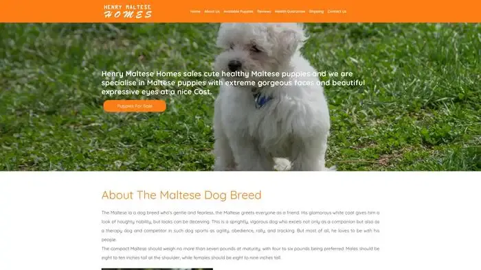 Screenshot of